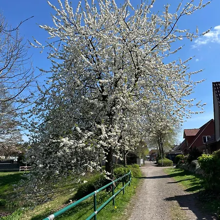 דירה Gaestehaus Gerschler *