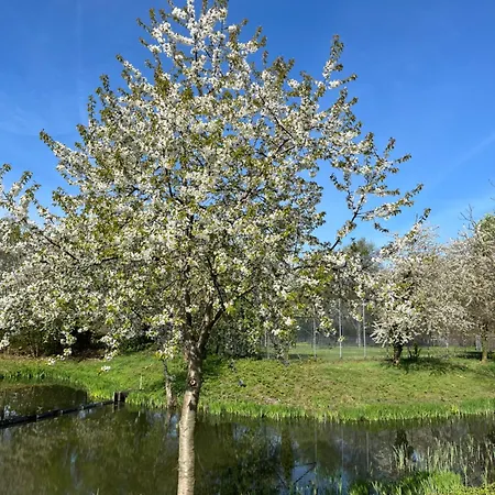 Gaestehaus Gerschler גארבסן