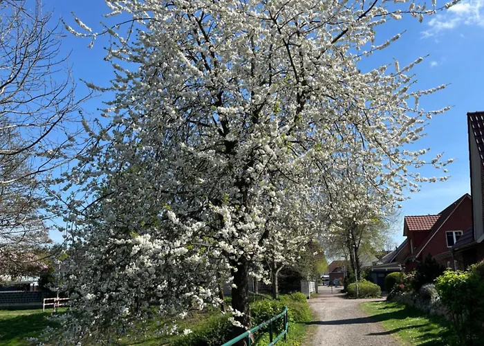 Apartamento Gaestehaus Gerschler *