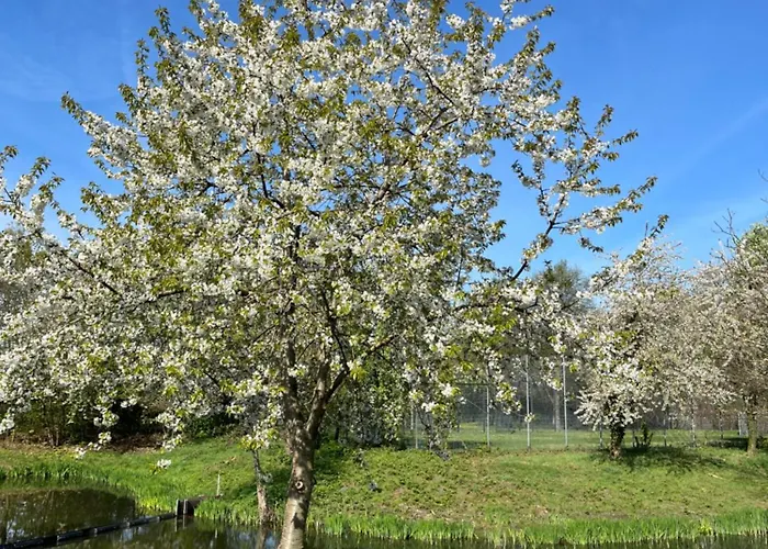 Gaestehaus Gerschler Garbsen